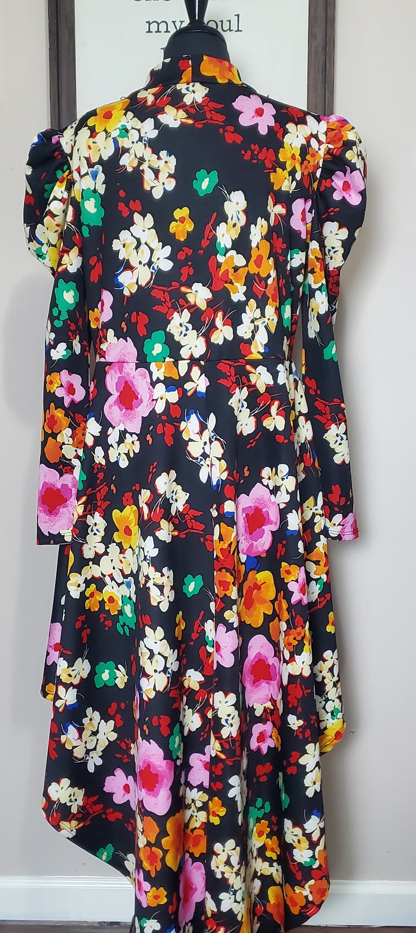 Sexy Diva Floral High Floral Hi Low Dress 2xl