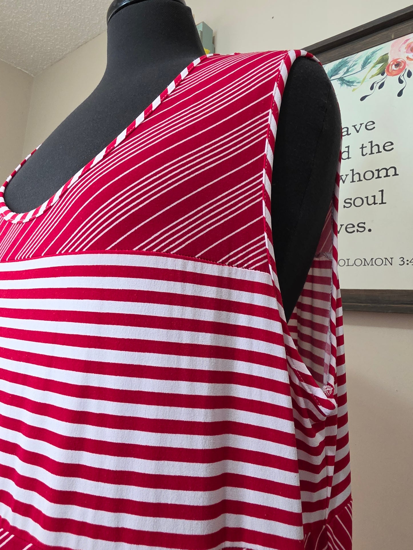 Ashro Red/White Stripe Dress  1x